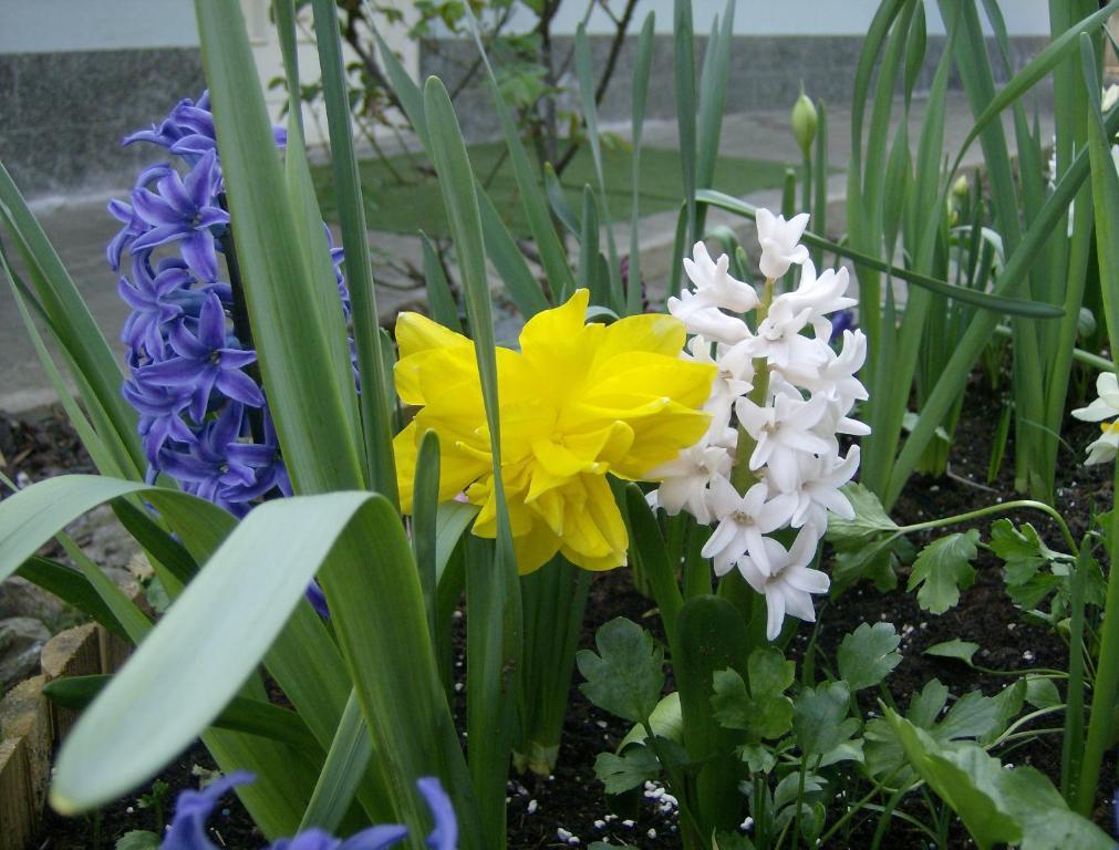 Il Giardino Delle Farfalle Valgioie Zewnętrze zdjęcie